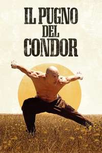 Fist of the Condor - Posters