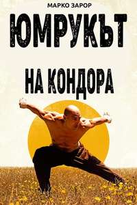Fist of the Condor - Posters