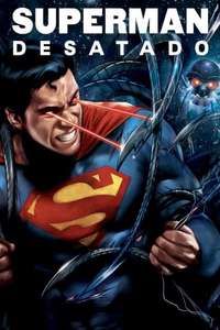 Superman: Unbound - Poster