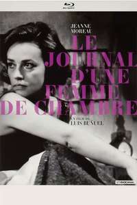 Diary of a Chambermaid - Poster
