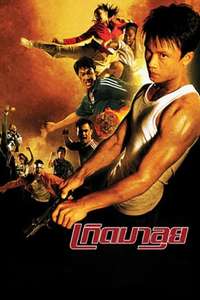 Born to Fight - Poster