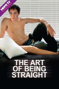 The Art of Being Straight - Poster
