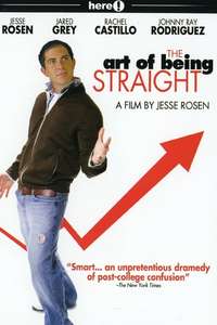 The Art of Being Straight - Poster