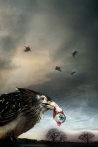 Flu Bird Horror - Poster