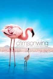 The Crimson Wing: Mystery of the Flamingos
