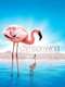 The Crimson Wing: Mystery of the Flamingos