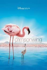 The Crimson Wing: Mystery of the Flamingos - Posters