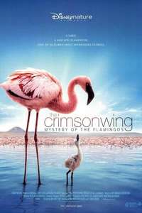 The Crimson Wing: Mystery of the Flamingos - Posters
