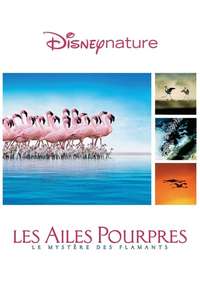 The Crimson Wing: Mystery of the Flamingos - Posters