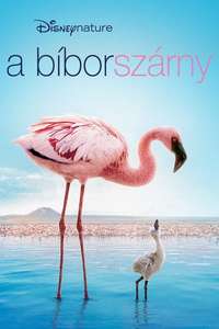 The Crimson Wing: Mystery of the Flamingos - Posters