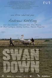 Swandown