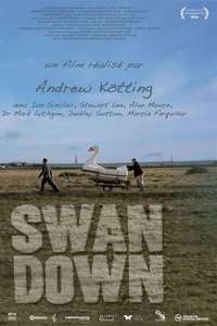 Swandown - Poster