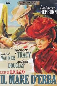 The Sea of Grass - Posters
