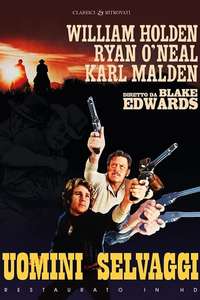 Wild Rovers - Posters