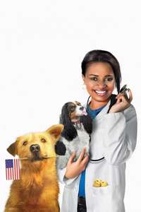 Dr. Dolittle: Tail to the Chief - Posters