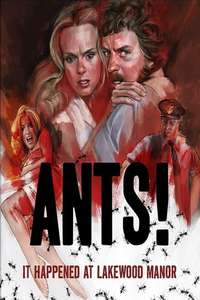 Ants - Poster