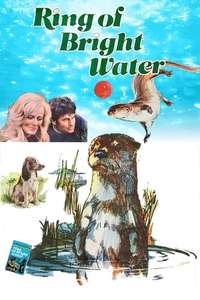 Ring of Bright Water - Poster