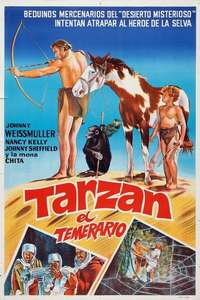 Tarzan's Desert Mystery - Poster