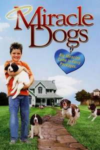 Miracle Dogs - Poster