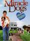 Miracle Dogs