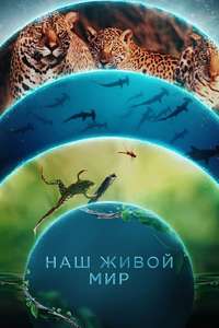 Our Living World - Posters