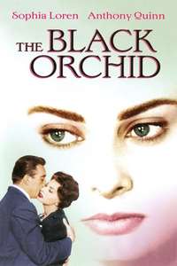 The Black Orchid - Poster