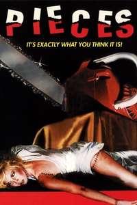 Pieces - Poster