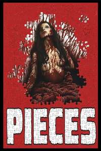 Pieces - Poster