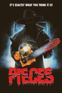 Pieces - Poster