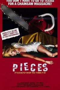 Pieces - Poster