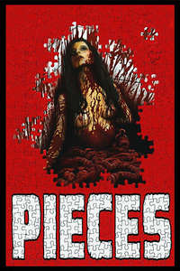 Pieces - Poster