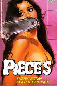 Pieces - Poster