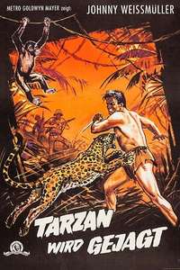 Tarzan and the Huntress - Poster