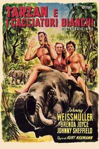 Tarzan and the Huntress - Poster
