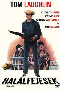 The Born Losers - Poster