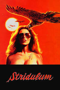 The Visitor - Poster