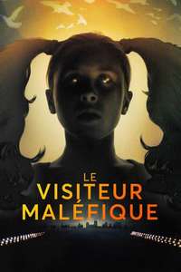 The Visitor - Poster