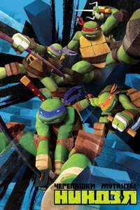 Teenage Mutant Ninja Turtles - Posters
