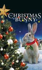 The Christmas Bunny