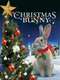 The Christmas Bunny