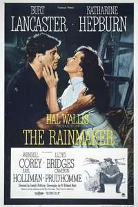 The Rainmaker - Poster