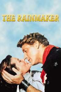 The Rainmaker - Poster