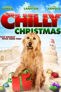 Chilly Christmas - Poster