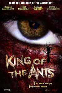 King of the Ants - Poster