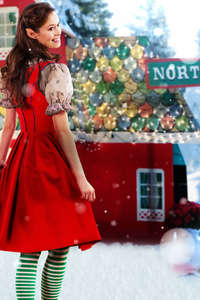 Help for the Holidays - Poster