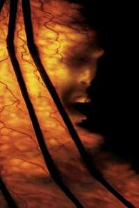 Jeepers Creepers 2 - Posters