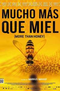 More than Honey - Poster