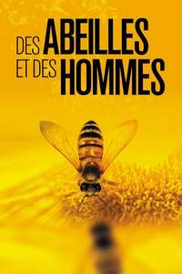 More than Honey - Poster