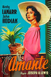 A Lady Without Passport - Poster
