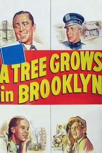A Tree Grows in Brooklyn - Poster